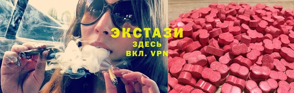 стафф Богородицк