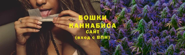 стафф Богородицк