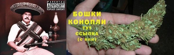 стафф Богородицк