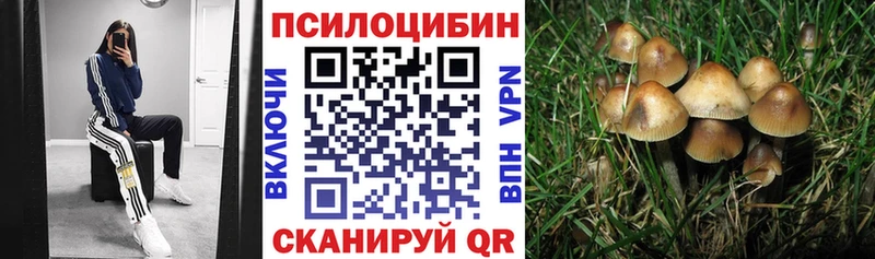блэк спрут сайт Киреевск Псилоцибиновые грибы Psilocybine cubensis где найти наркотики